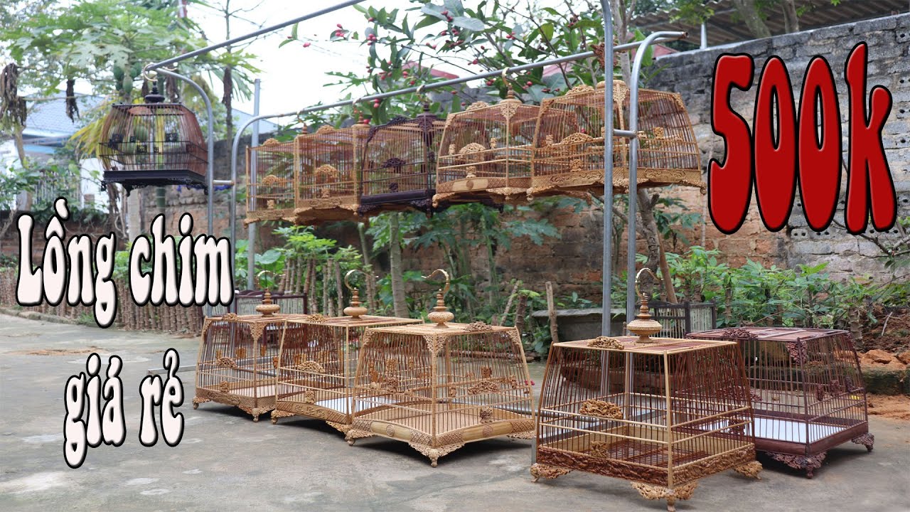 Lồng chim giá rẻ bán đấu giá 500k mẫu lồng giả thái đấu tùng hạc