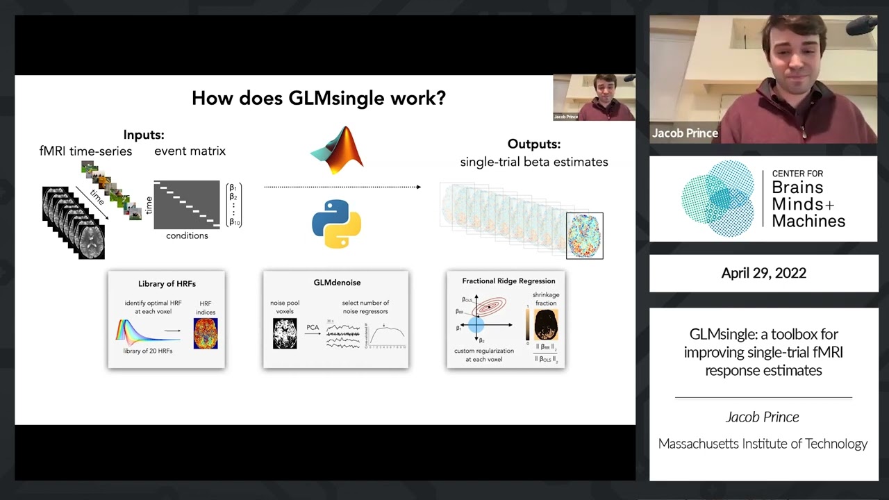 GLMsingle: a toolbox for improving single-trial fMRI response estimates