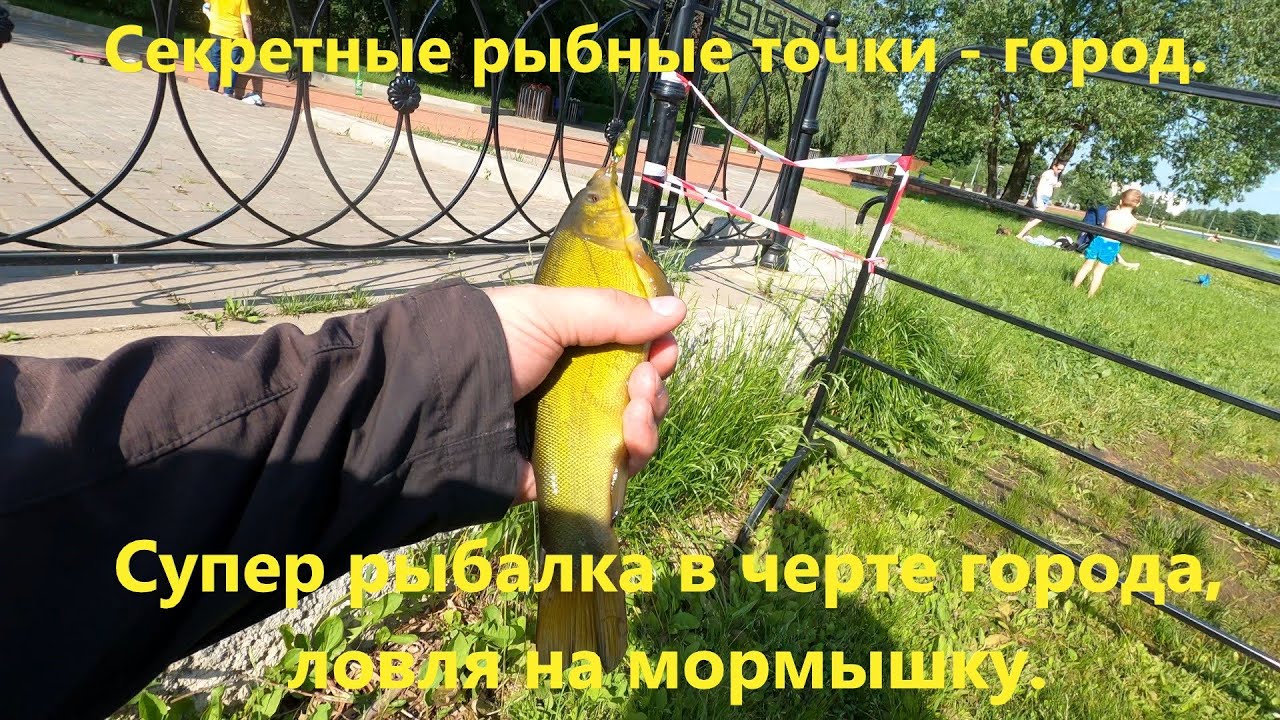 Секретные рыбные точки. Город. Супер рыбалка в черте города, ловля на мормышку.