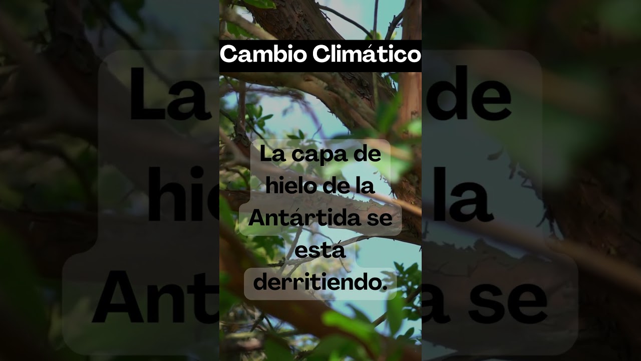 Cambio Clim&aacute;tico #glampingmexico #bienestar