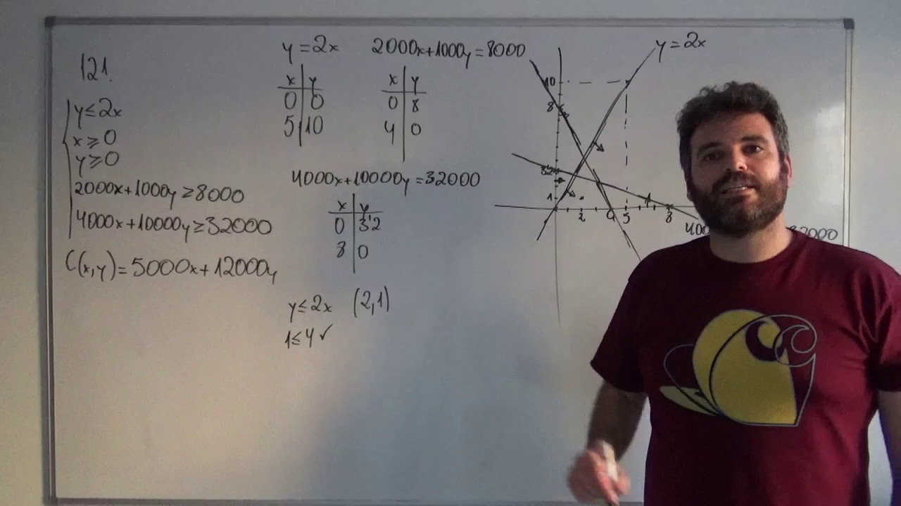 Programaci&oacute;n lineal CVS11
