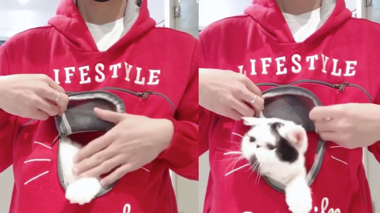 Sweet! A hoodie designed for pet lovers and their cats