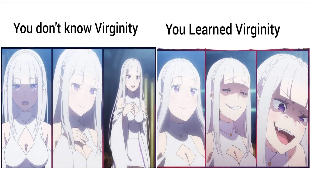 Re:Zero Season 3 | Memes 17