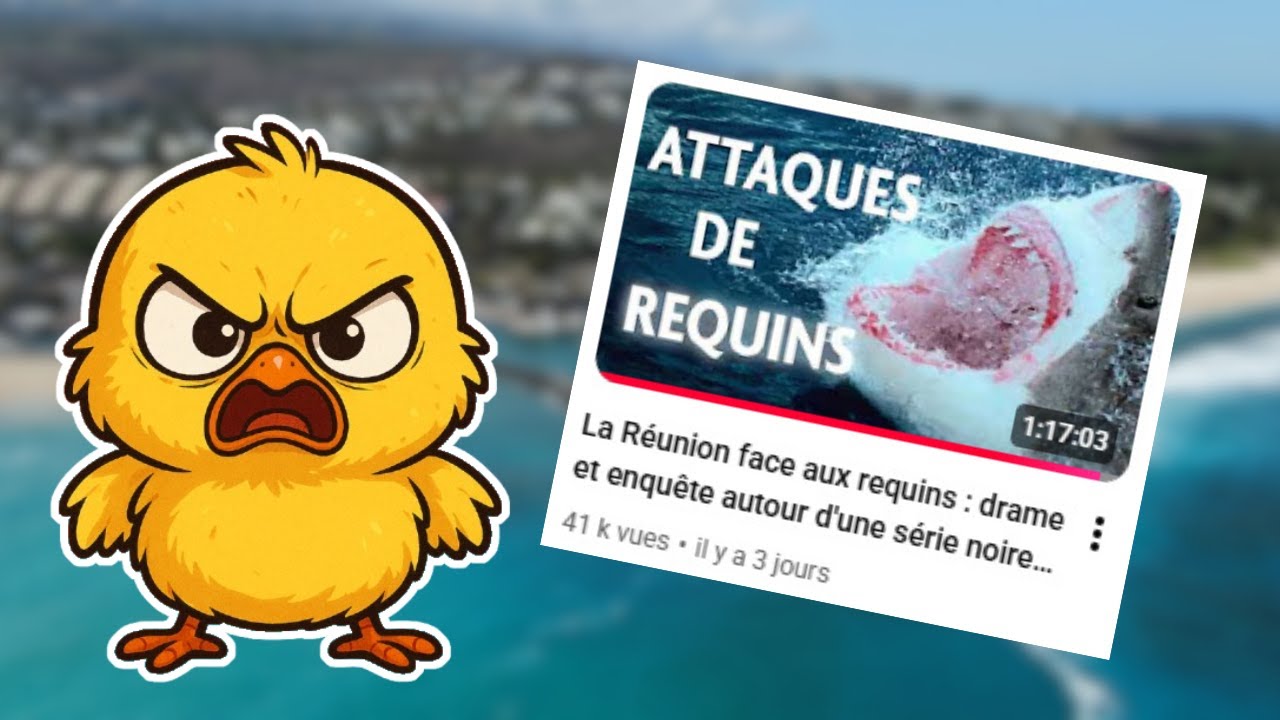 REQUINS À LA RÉUNION : JE DEBUNK UN REPORTAGE DE 
