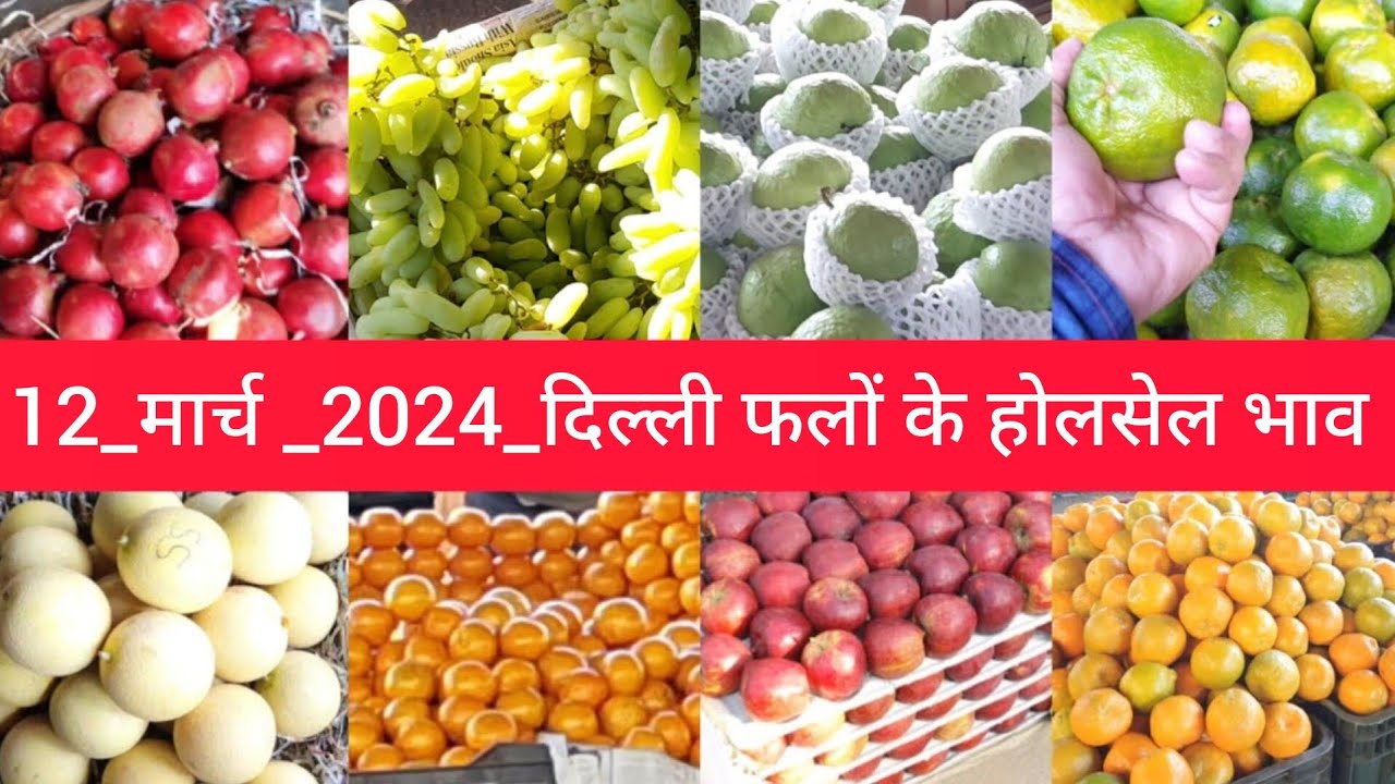 March 12, 2024 दिल्ली फलों के भाव  today fruit market price APMC delhi fruit market #fruritmarket