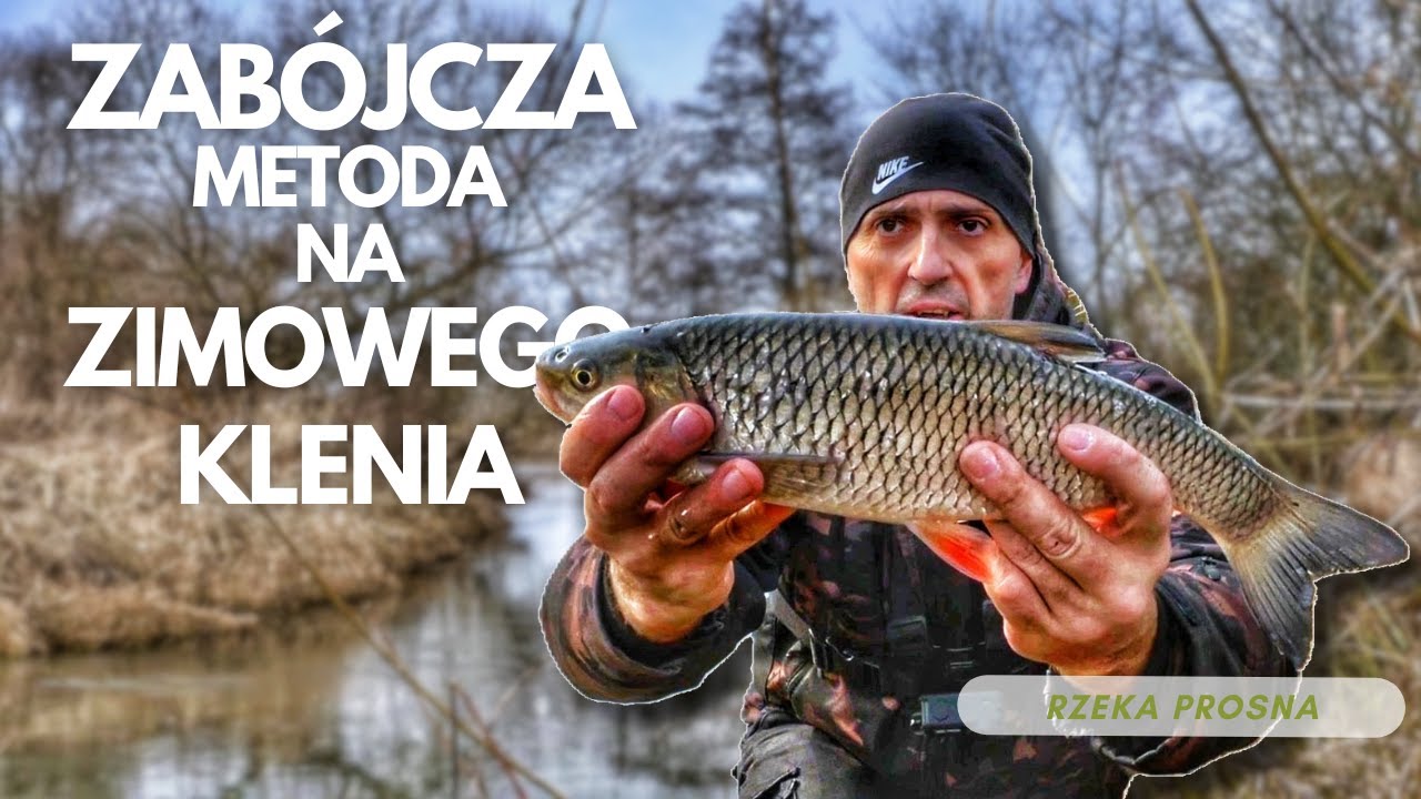 Kleń z dzikiej rzeki| Wędkarstwo spławikowe