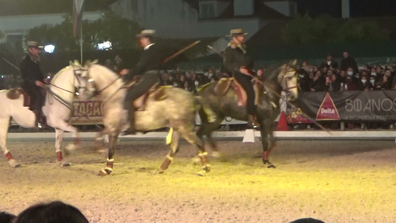 Working Equitation Carousel - Golegã 2021