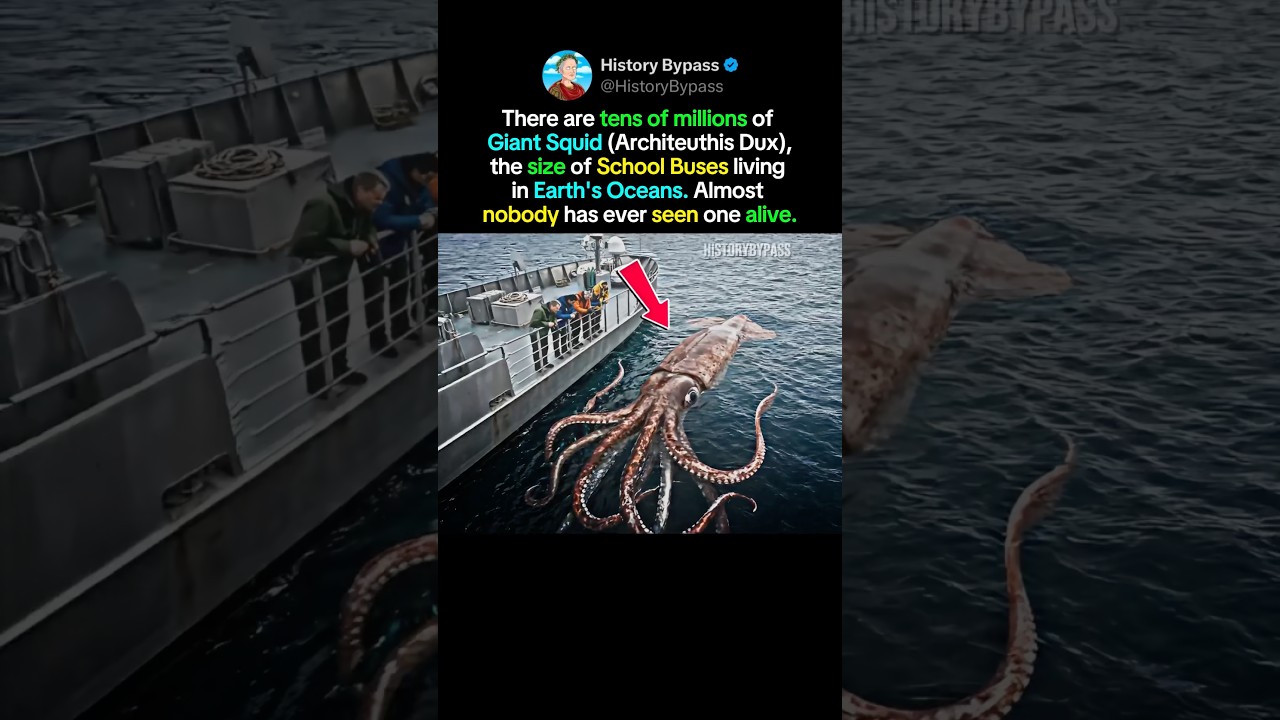 The Kraken Is Real And There's Millions Of Them #shorts