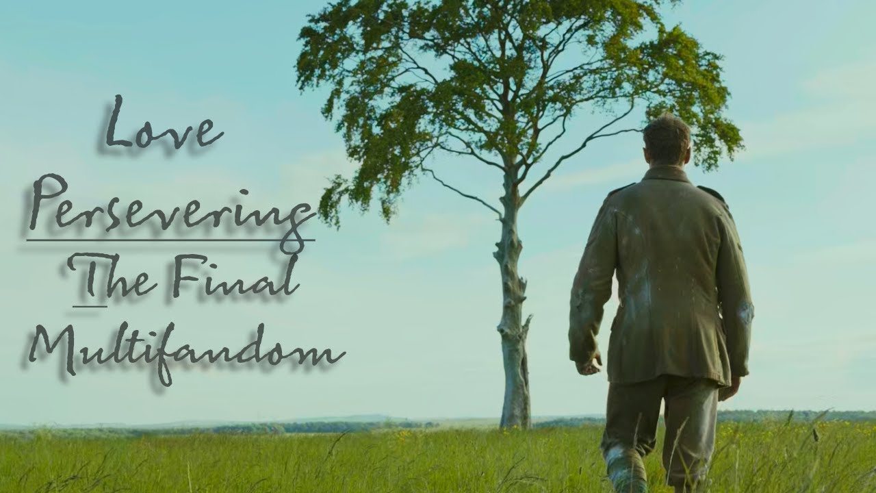 Love Persevering | The Final Multifandom