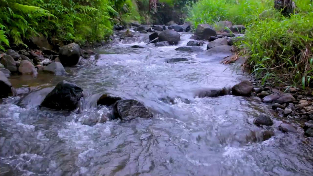 Relax by the Mountain River | Gentle Nature Water Sounds for Deep Sleep