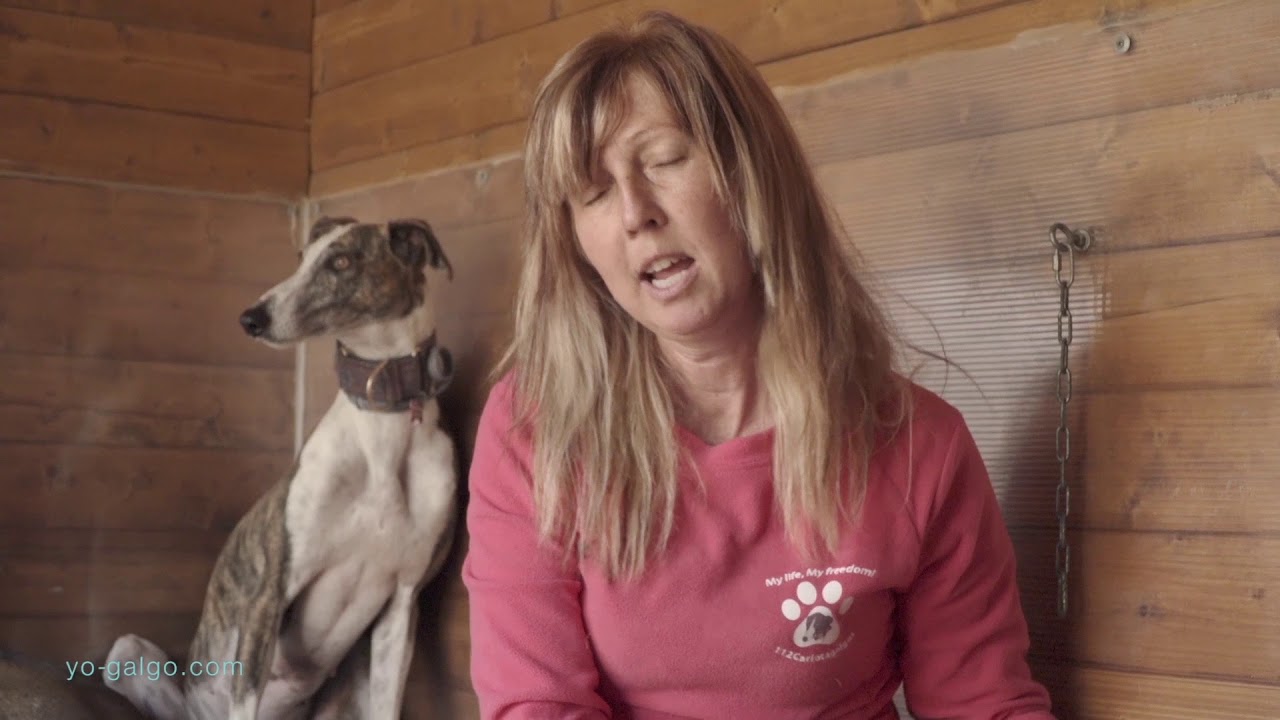 A visit to a Galgo rescue shelter