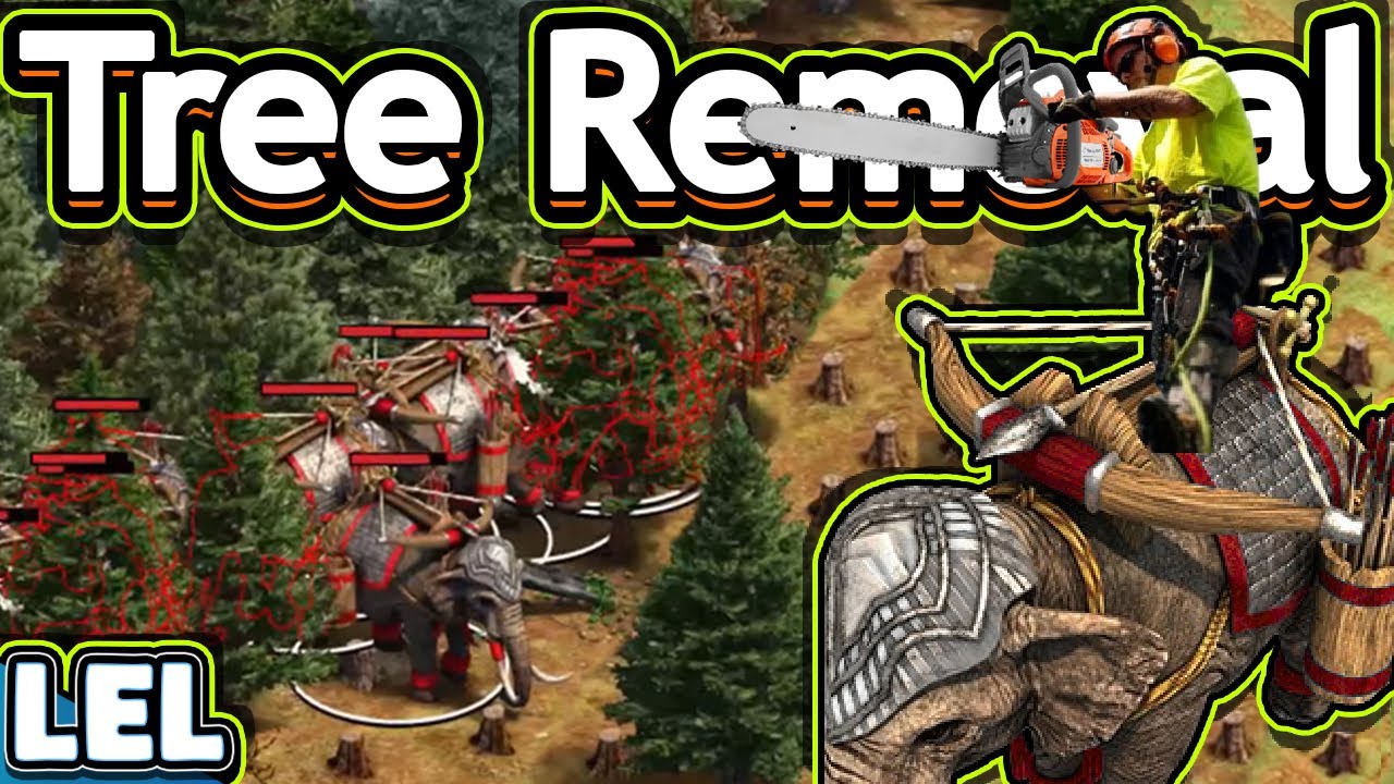Tree Removal Strategy (Low Elo Legends)