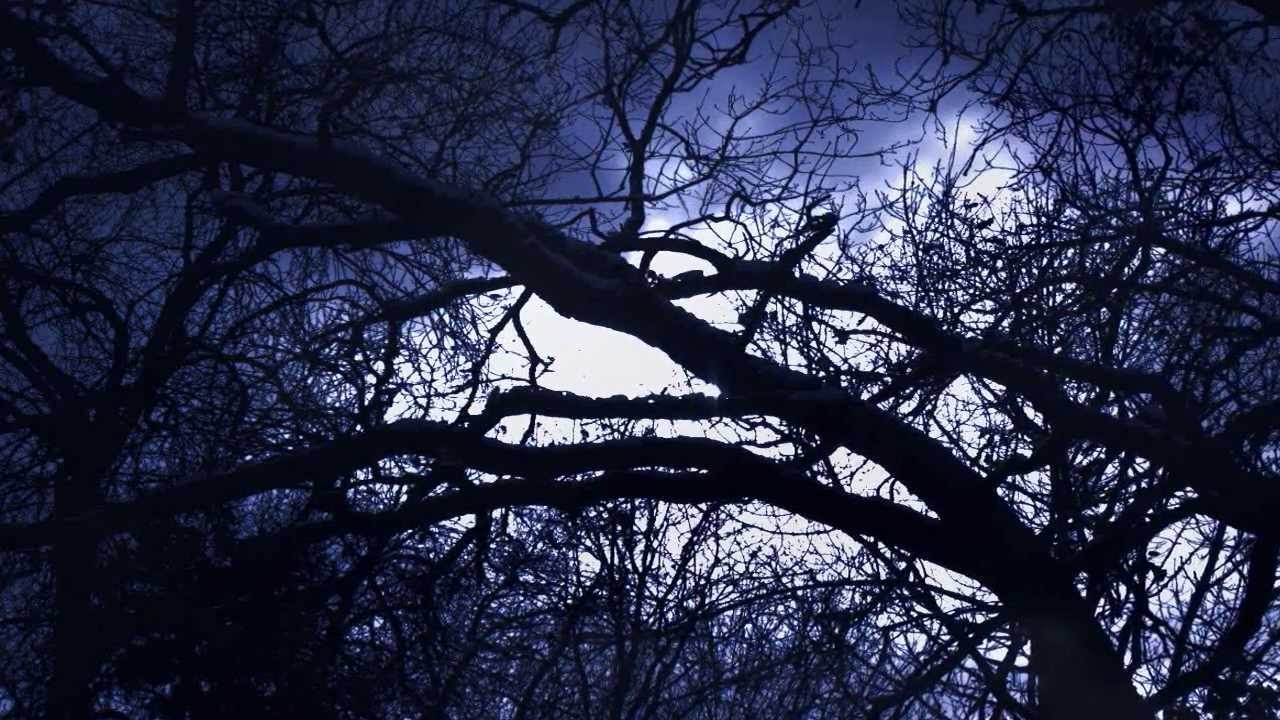Aorlhac - Night's Blood (Dissection Cover)