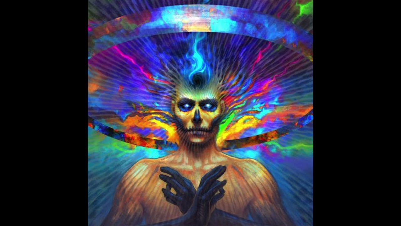 Montti - 24 Multiface