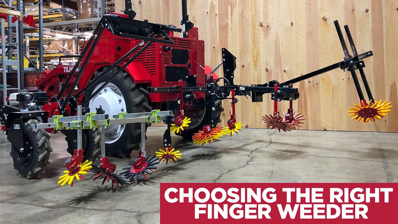 Choosing the Right Finger Weeders For Your Farm *LIVE*