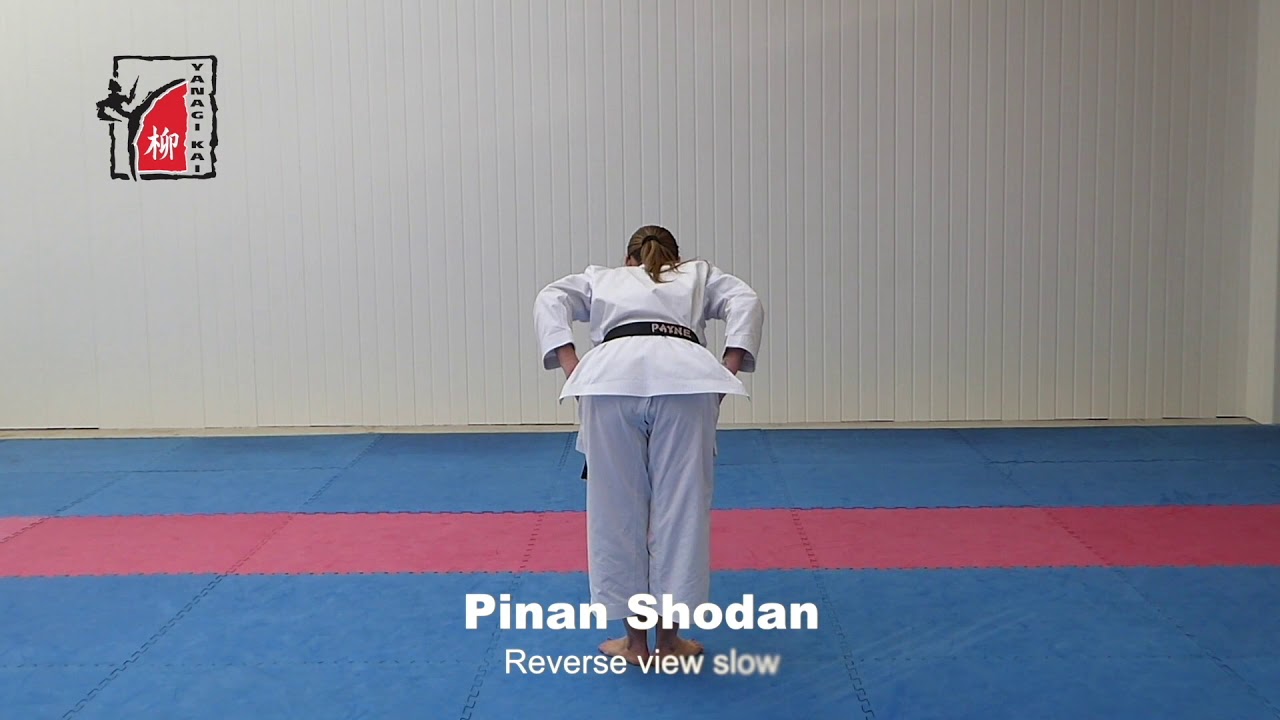 Kata - Pinan Shodan