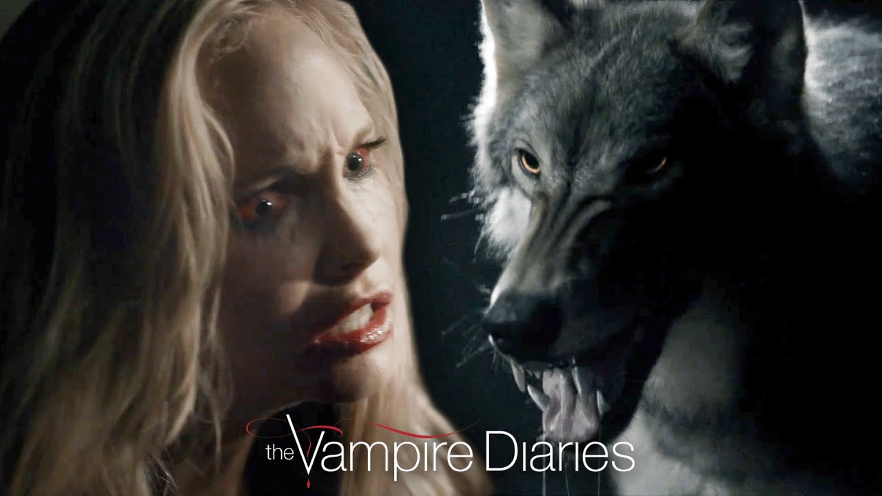 A Werewolf Stops Caroline From Killing Matt | The Vampire Diaries