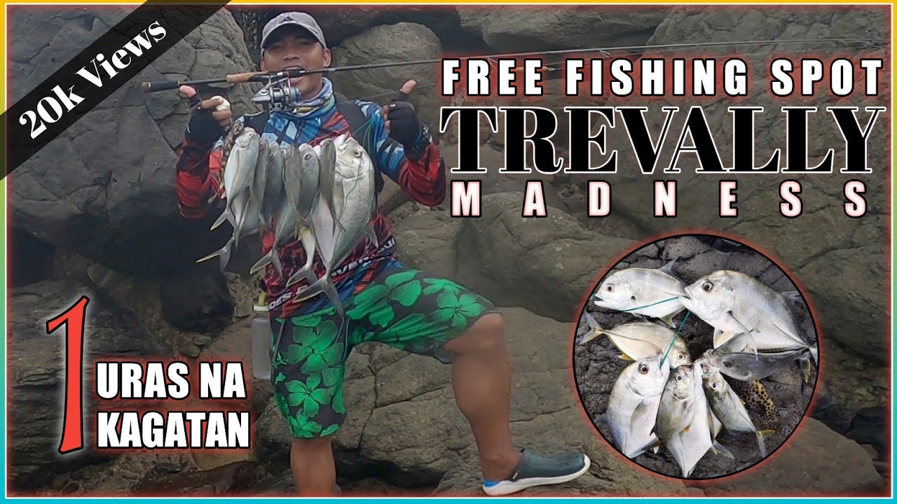 TALAKITOK MADNESS | MEDIUM LIGHT SET-UP