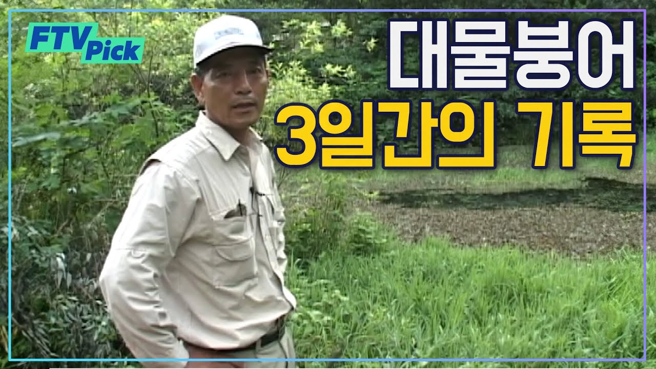 대물붕어를 향한 3일간의 도전 [FTVpick/그 시절 월척특급]