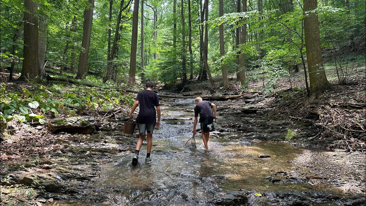 Exploring Isolated Creek! (Beautiful)