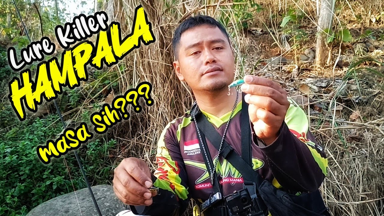 Video Pembuktian ✅✅ Lure Ampuh Untuk Hampala Yang Ngambek Makan