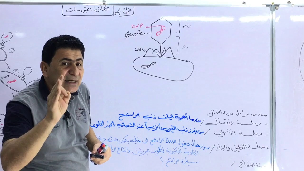 الفصل الثالث(التكاثر)/محاضرة3