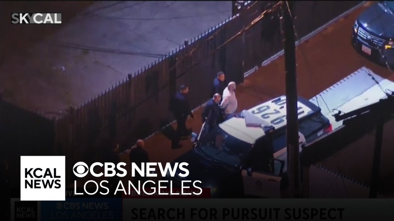 Suspect arrested after leading high-speed chase, fleeing into Lake Balboa bar
