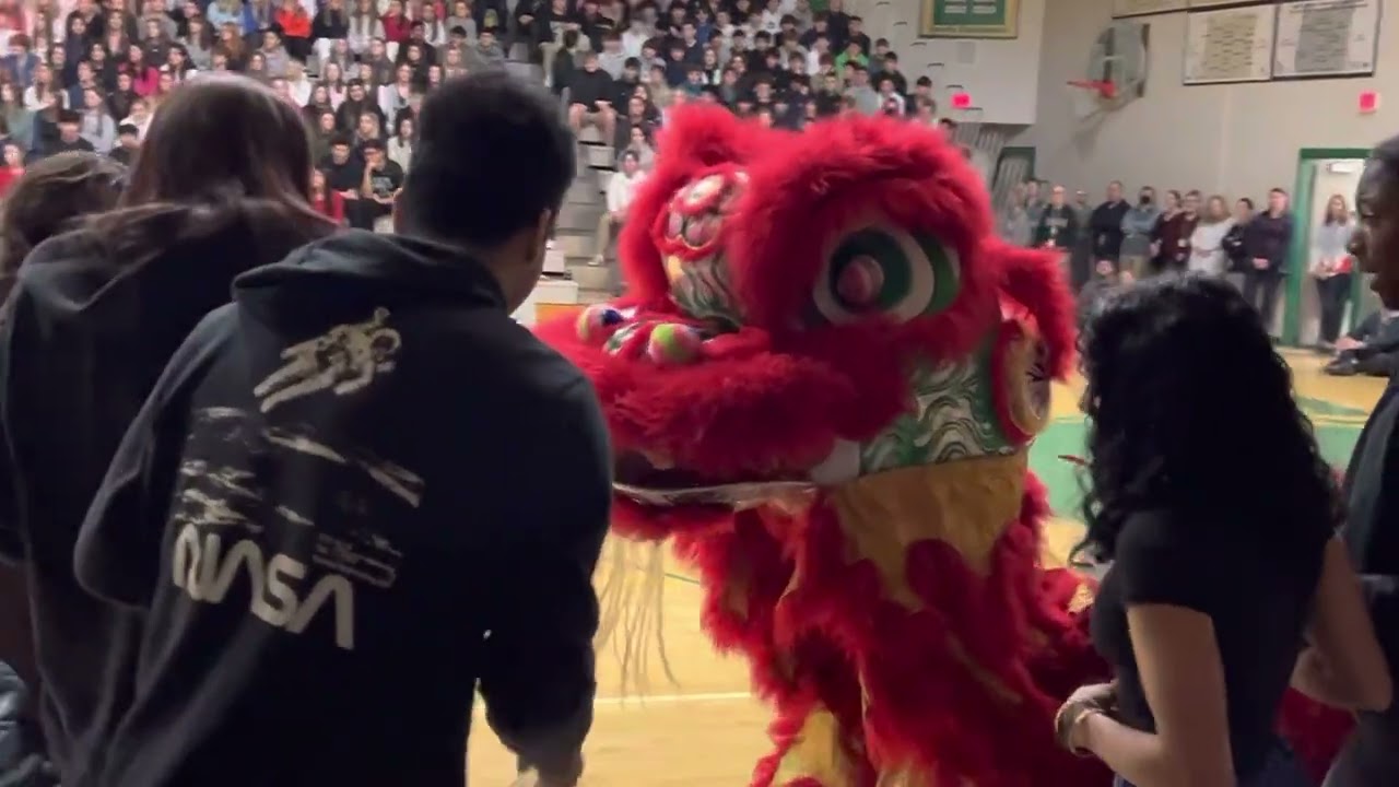 Lion Dance