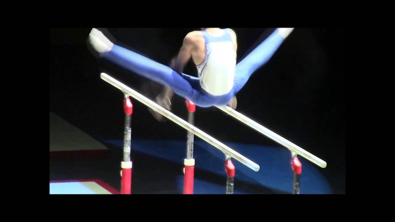 Gymnastique Artistique Masculine Agrès