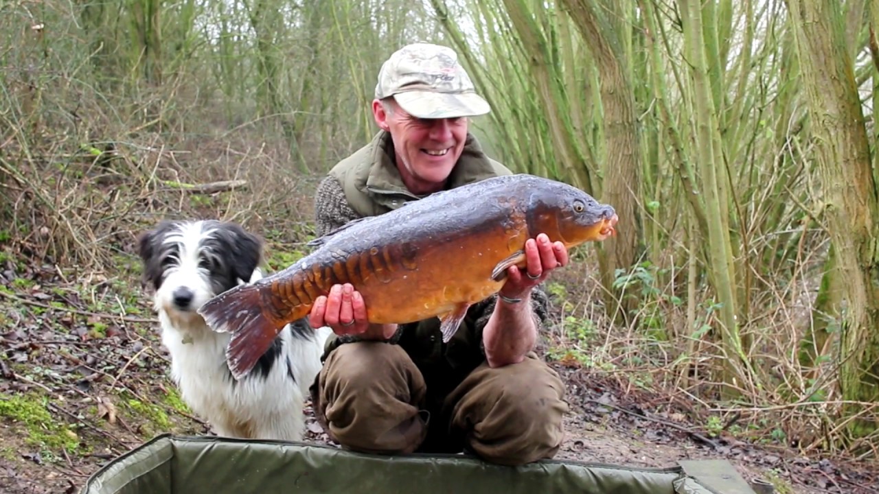 Dave Lane Carp Blog - Maddi sees her first carp at the Quarry