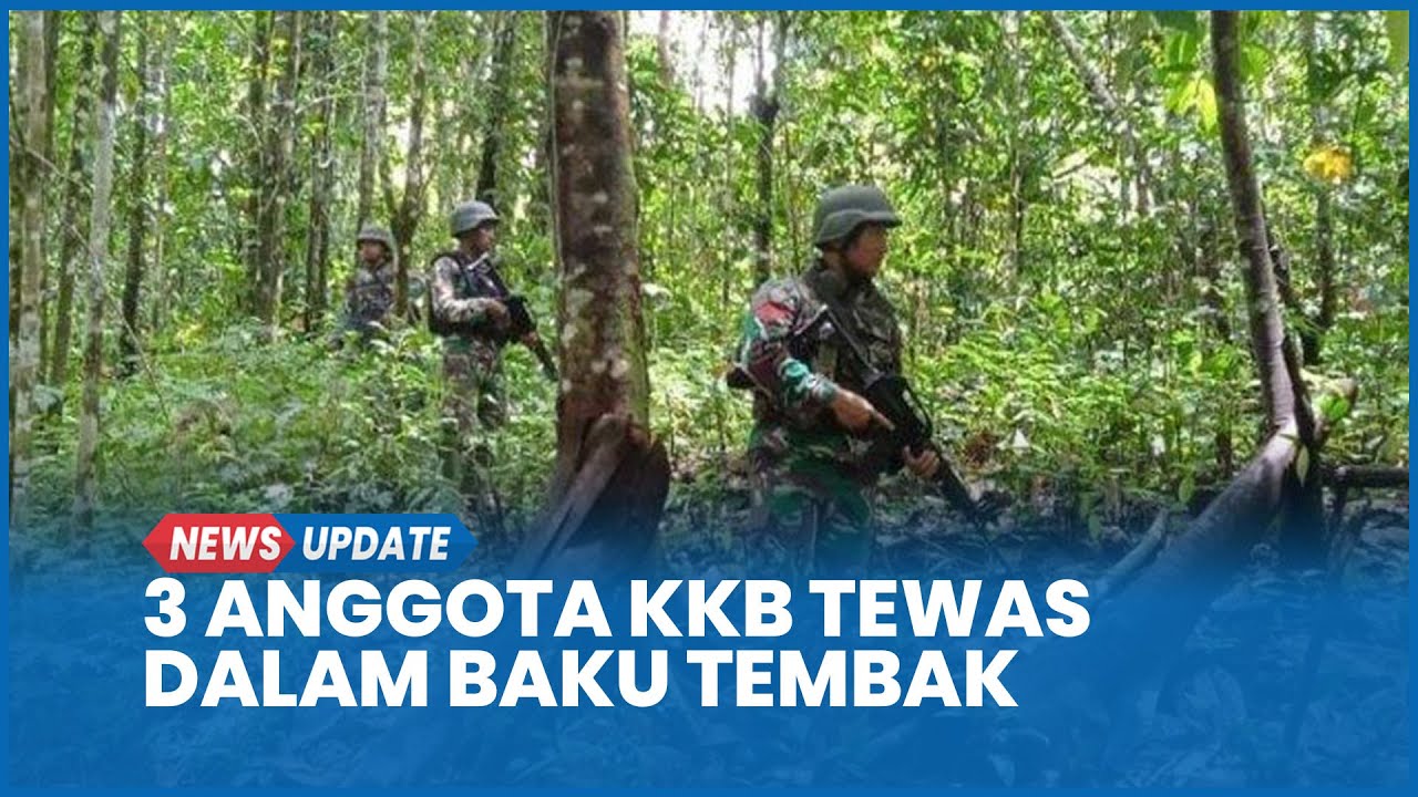 Baku Tembak TNI Vs KKB Papua 3 Tewas, Prajurit Temukan Senpi Tentara Hilang Dibawa OPM 2019