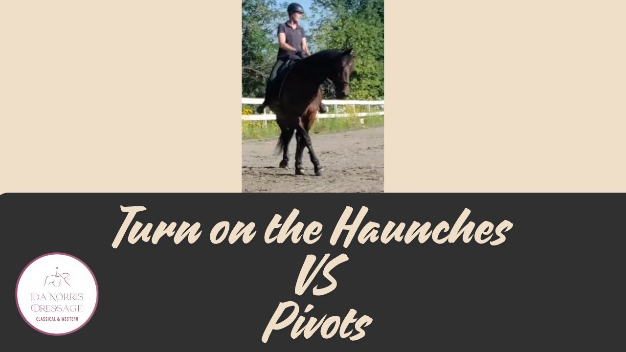 Turn on the Haunches Vs Pivots // Western Dressage