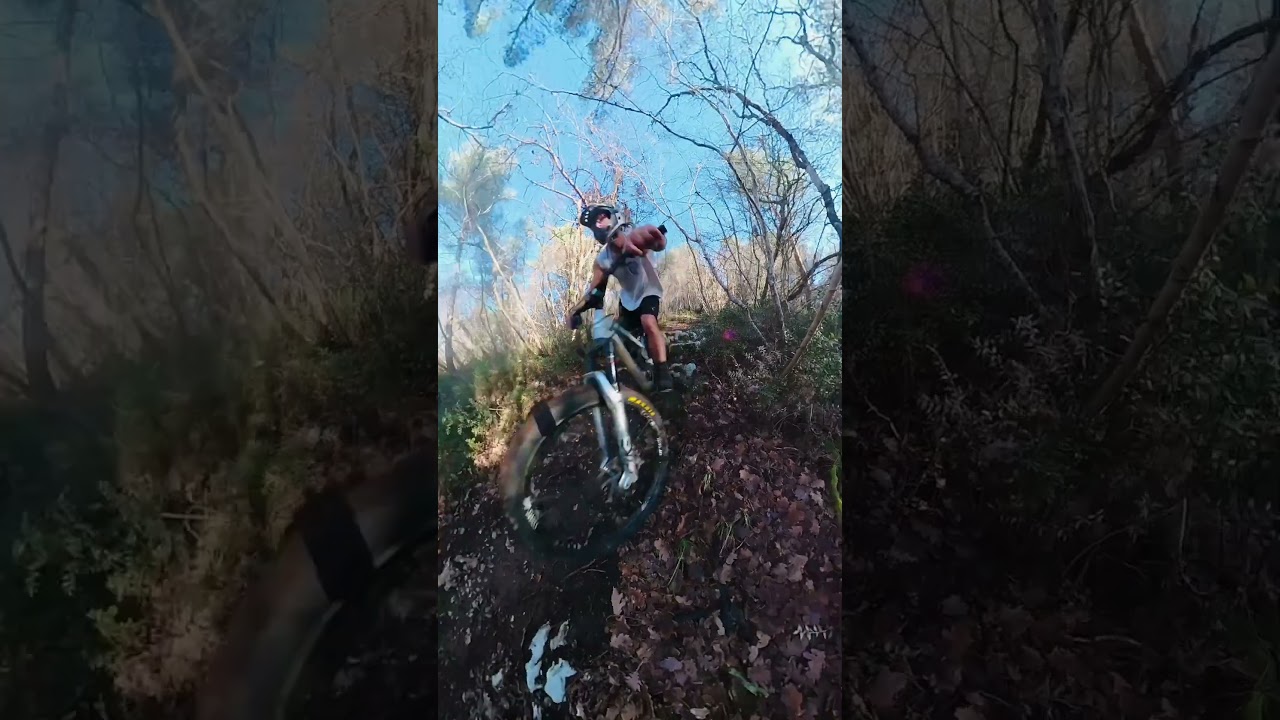 San Servolo Trails 