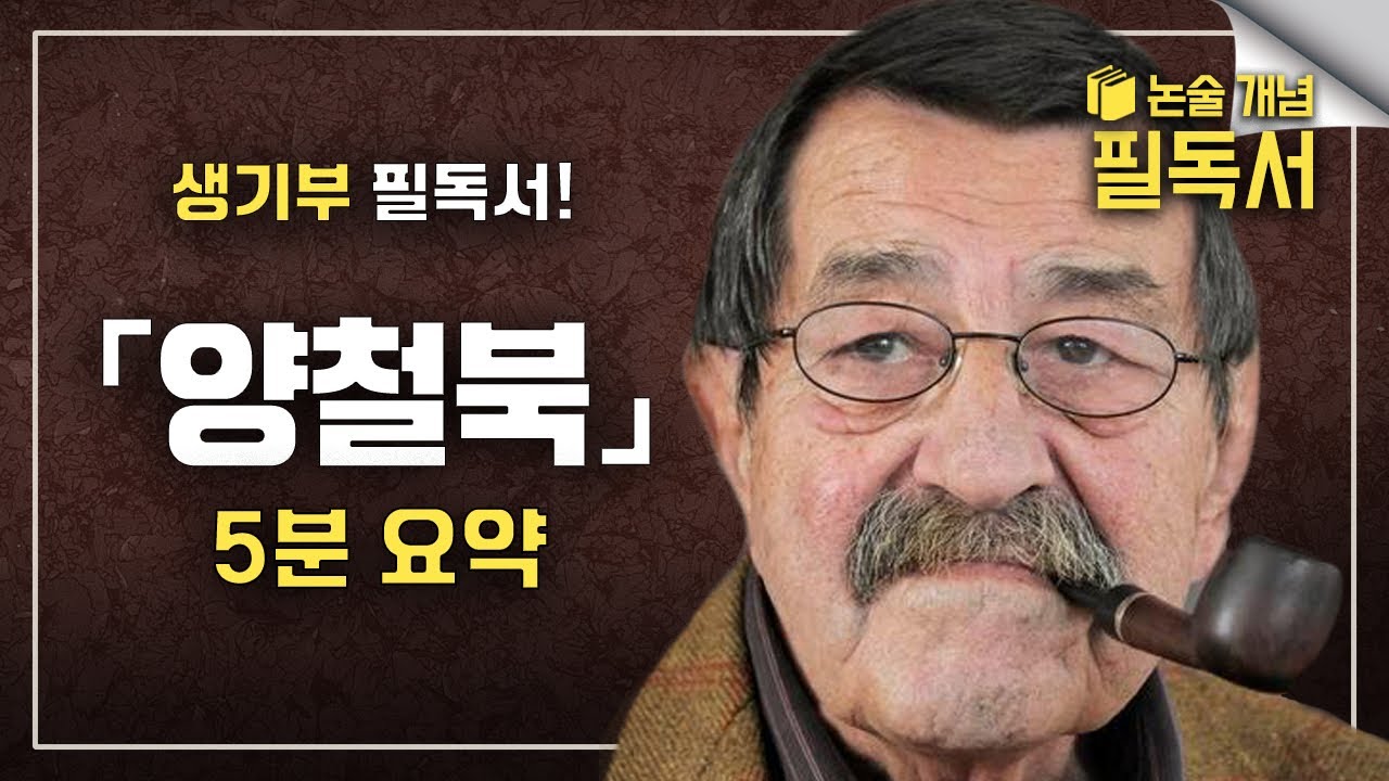 서울대 추천권장도서 & 생기부 필독서! 겉모습은 세살인데 두뇌만 자라는 소년의 이야기 《양철북》 줄거리 | 노벨문학상 | 귄터 그라스 | EBS 대입 논술 개념 필독서📚