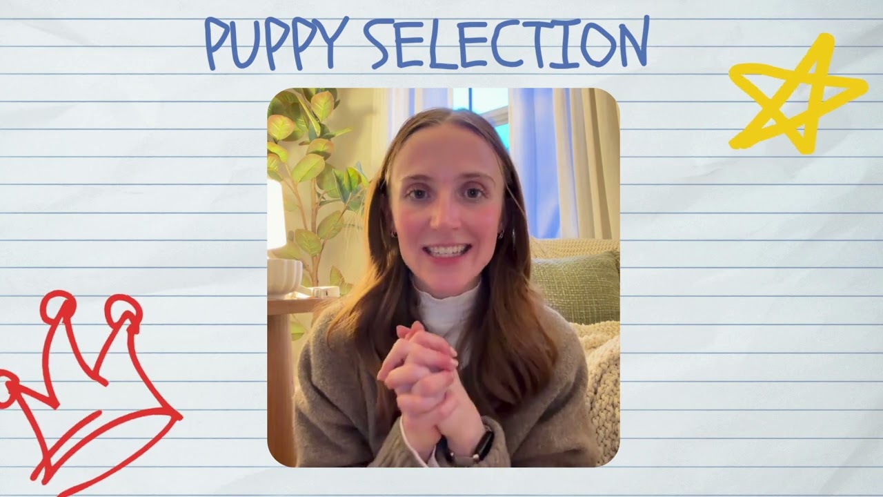 From Dream to Dog: Choosing the Right Breed & Preparing for Puppy Day | The Wells Project Chapter 1