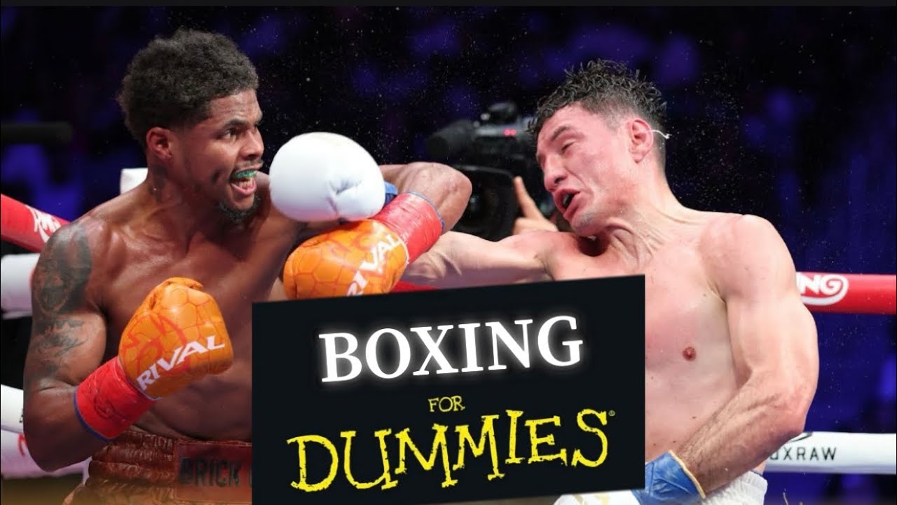 Shakur Stevenson: Boxing for Dummies
