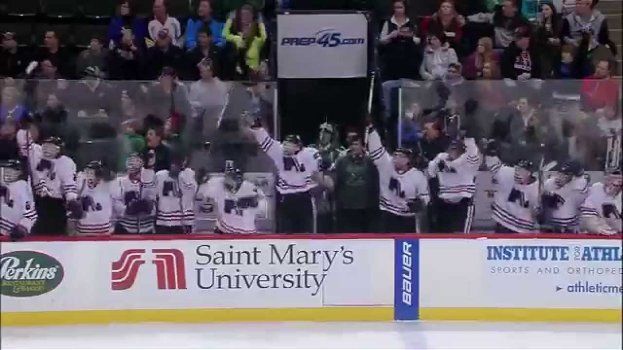 MN High School Hockey Tournament Tribute