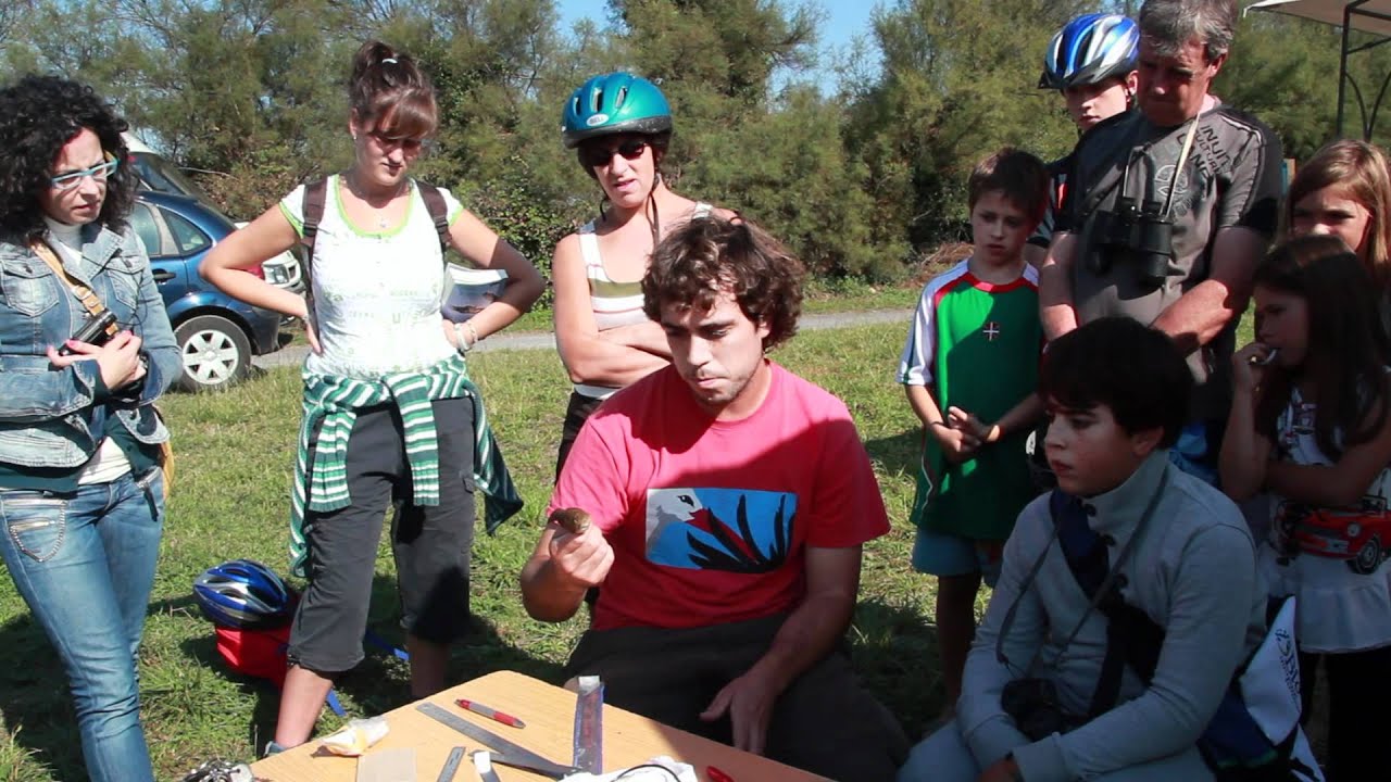 V Festival de Migración de aves en Santoña