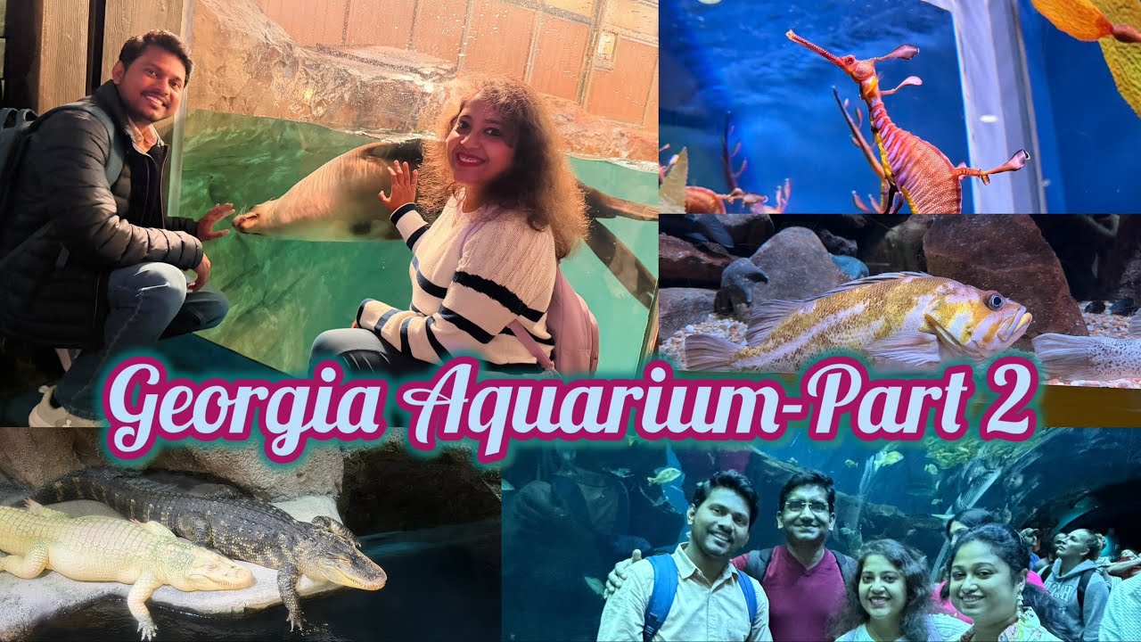 সমুদ্রের রাজ্য - Georgia Aquarium Vlog- Part 2- North Carolina Diaries- Episode 101
