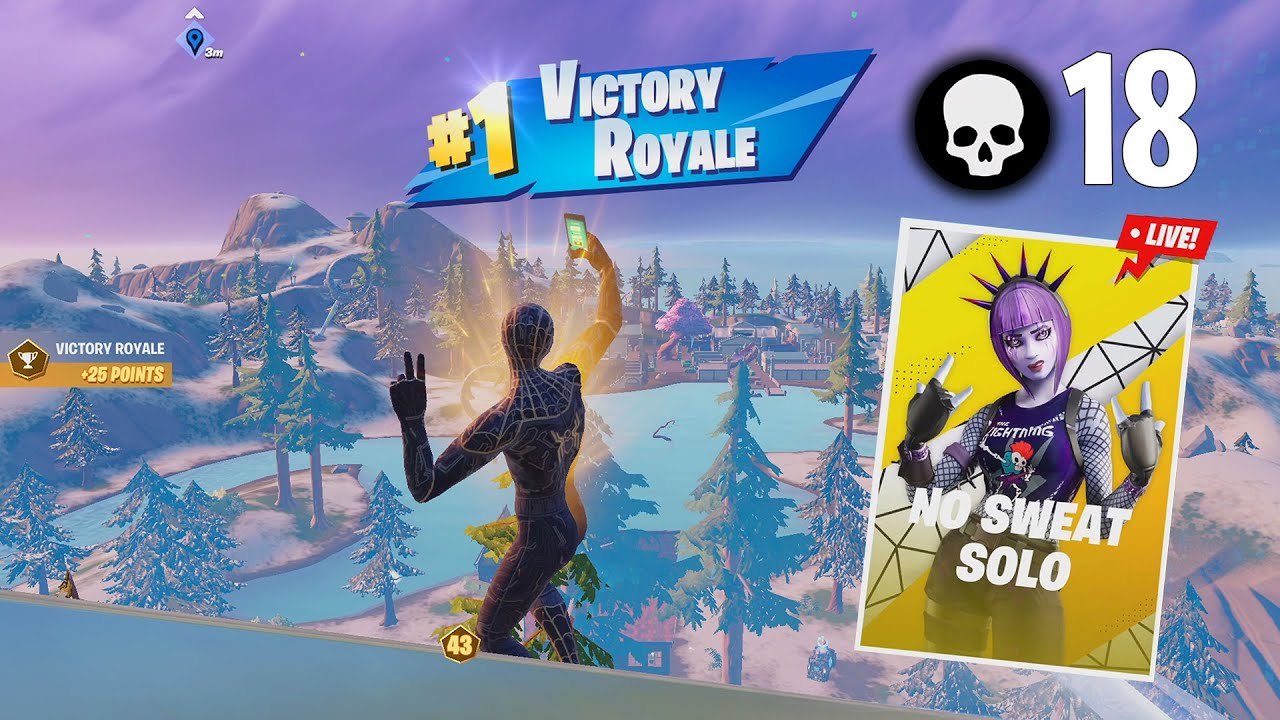 High Elimination No Sweat Solo Cup Win (Tournament Gameplay) | Fortnite Season 3 Chapter 3