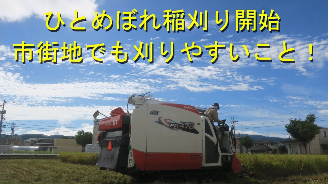 雨マークでしたがひとめぼれ稲刈り開始出来ました・ハナエチゼンが意外に豊作でした・2022