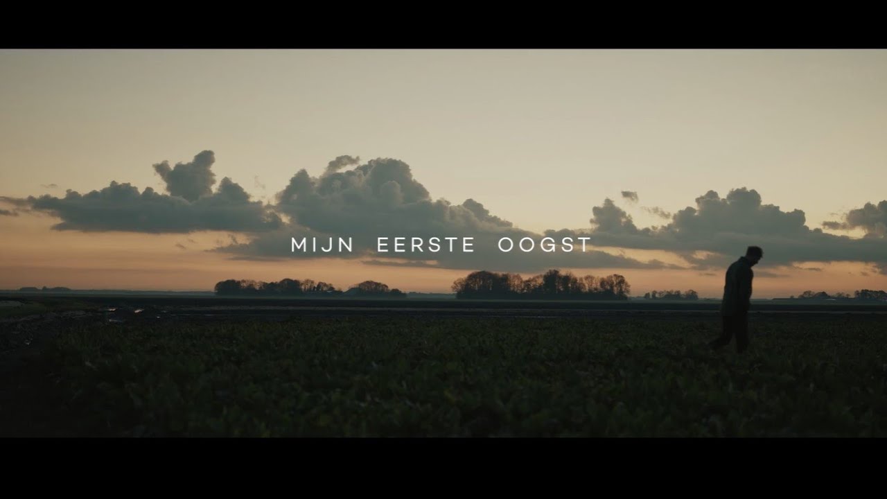 Mijn eerste oogst