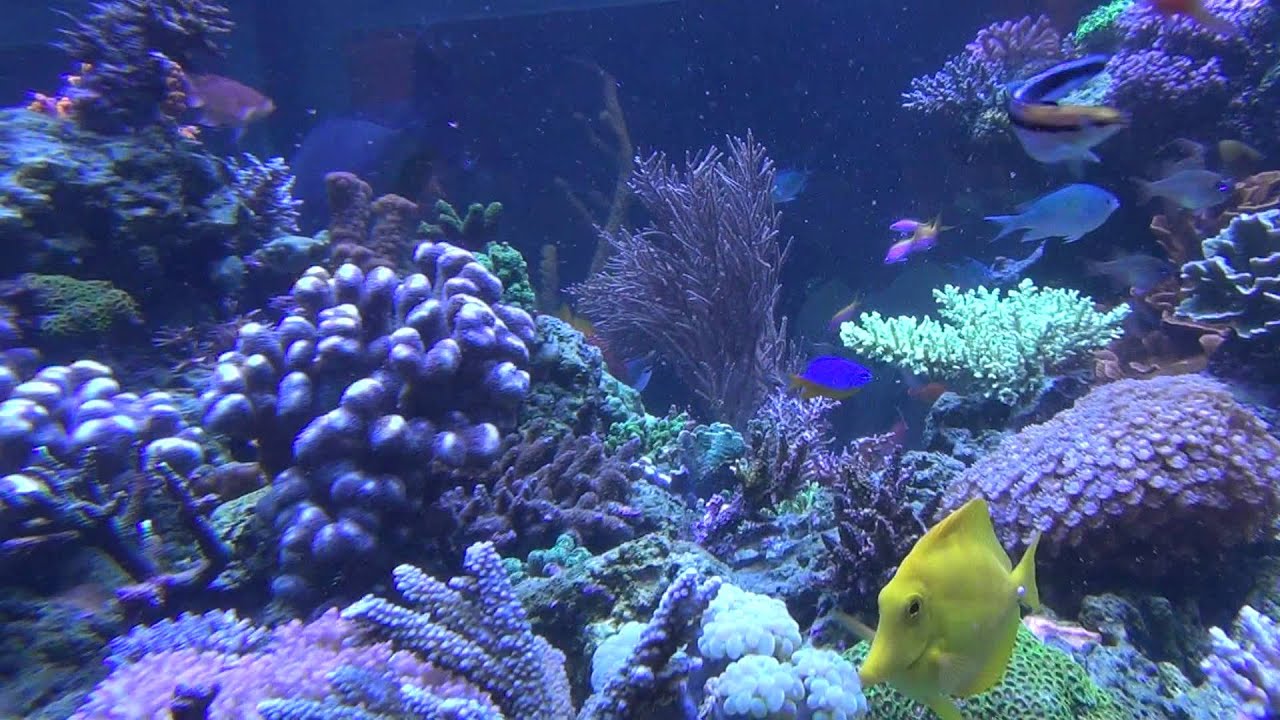 20120630203437 1