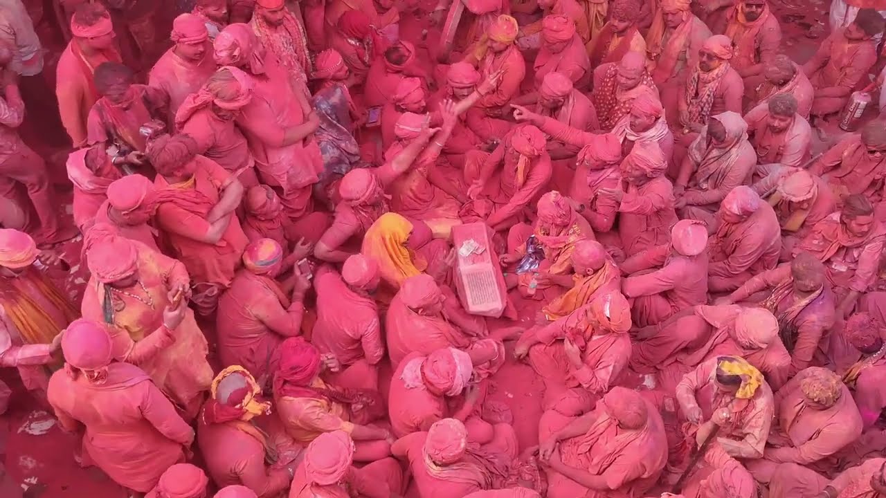 लड्डू होली का दिव्या दर्शन | श्री लाड़ली महल बरसाना |