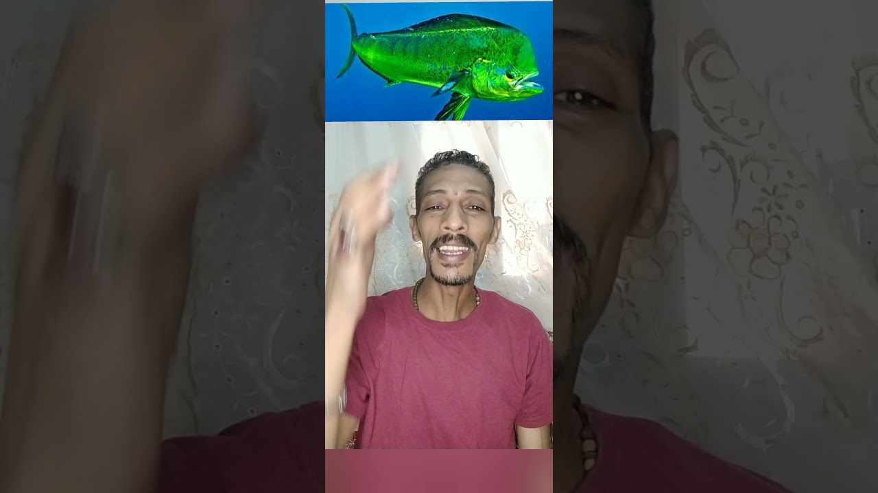 صيد اللمبوكه /الحصان (ملف شامل)