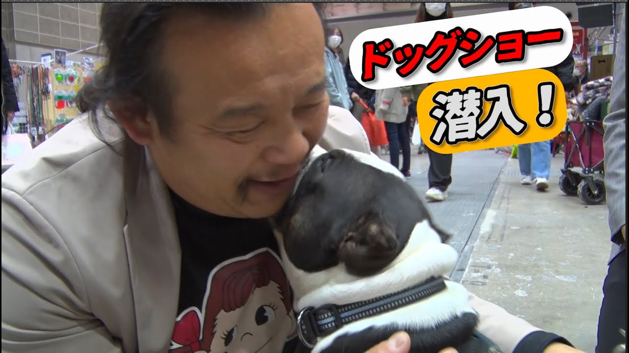 パンク町田がドッグショー潜入（前編）