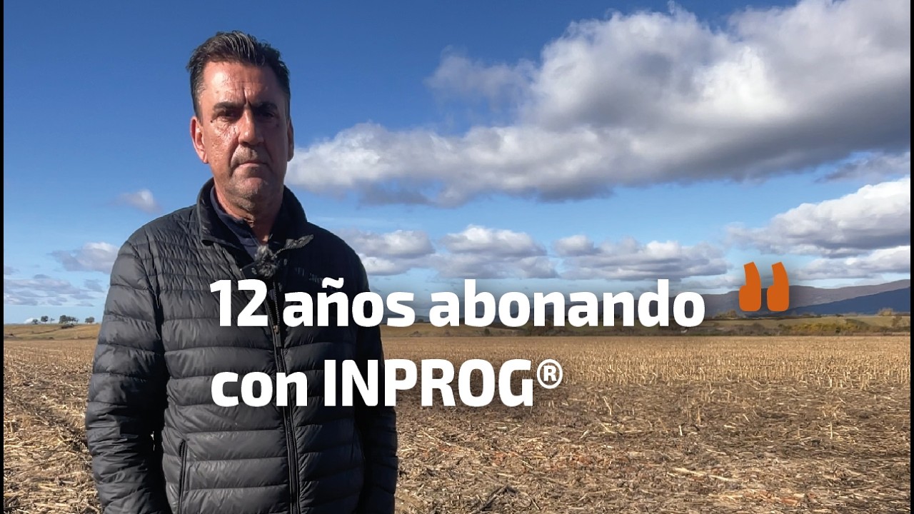 TOMATE, MAÍZ Y OLIVAR SÚPERINTENSIVO. Hablamos con Carlos Estevez, agricultor en Moraleja, Cáceres.
