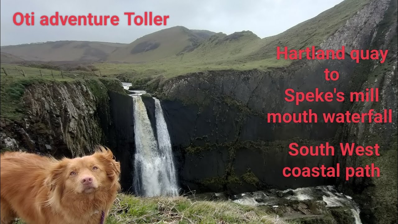 Devon South West coastal path -  Hartland quay to Speke's mill mouth waterfall, with Oti Toller.
