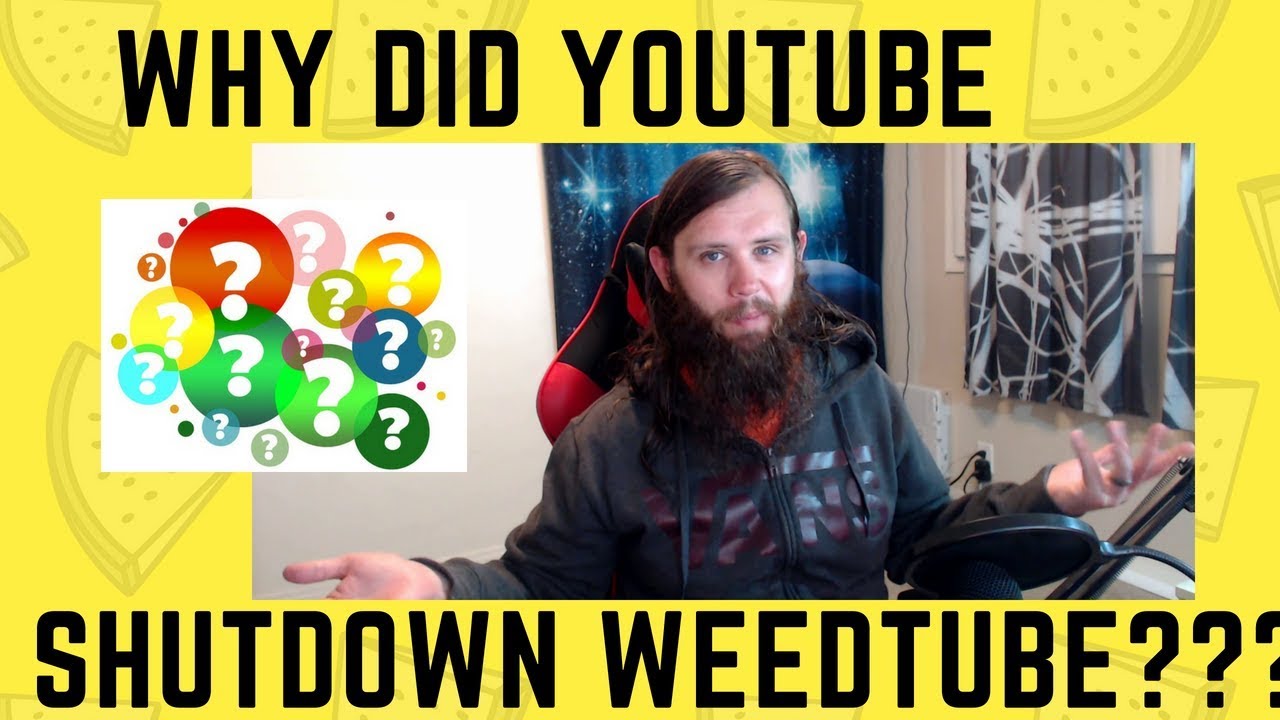 How to survive the WeedTube apocalypse. Where did all the Weedtubers go?