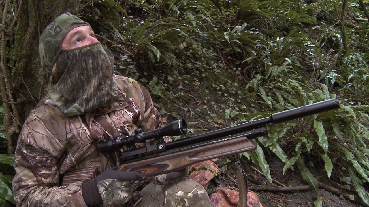 The Airgun Show &ndash; woodland pigeon and squirrel hunt, PLUS the Daystate Pulsar Synthetic on test